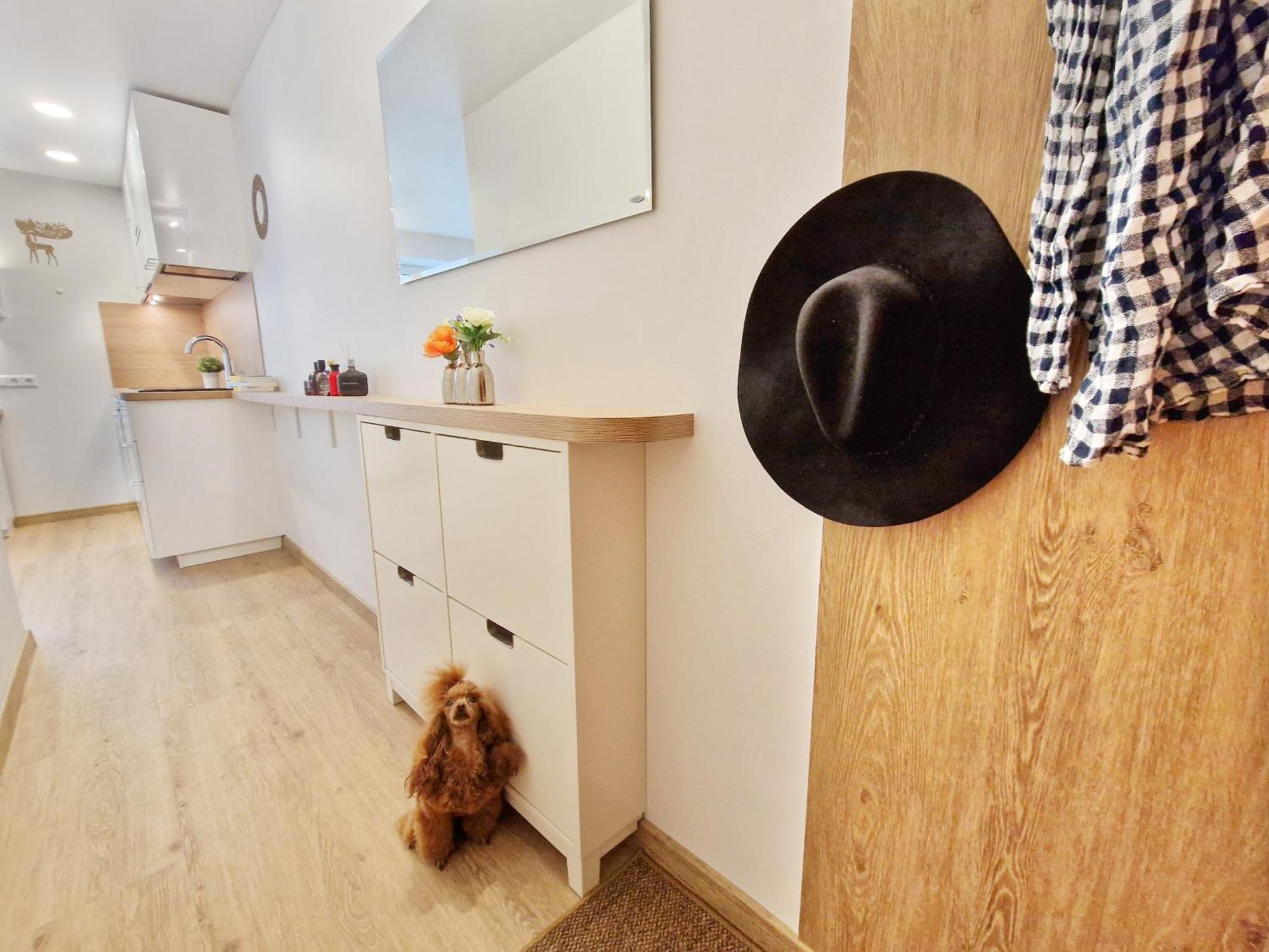 Vivulskis 3* Vilnius